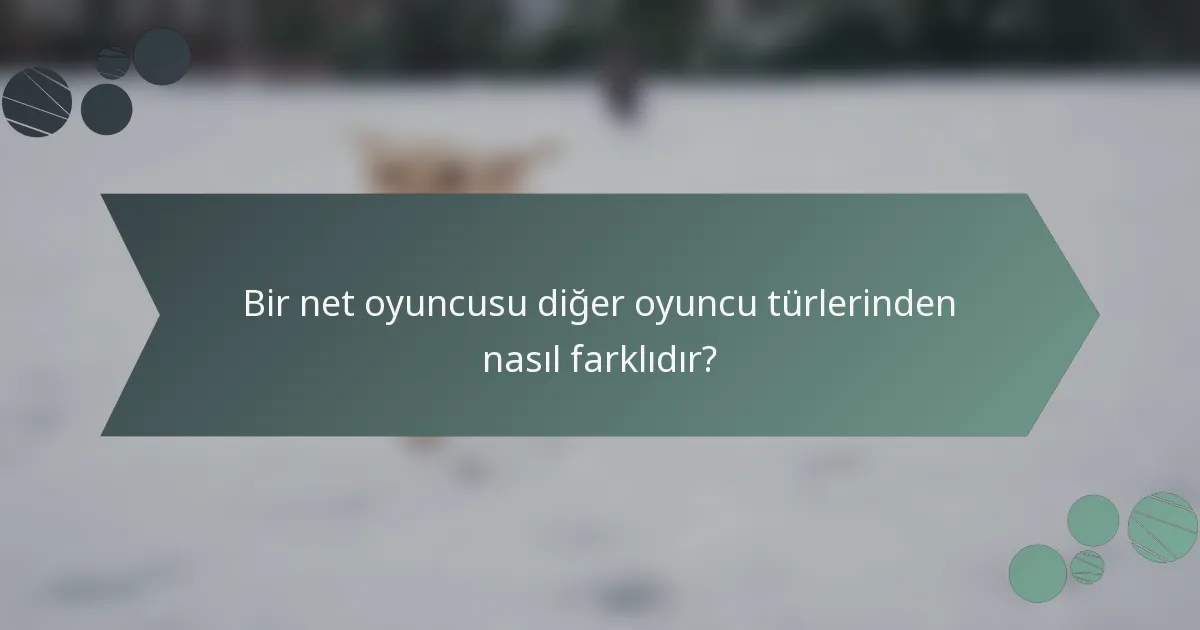 Bir net oyuncusu diğer oyuncu türlerinden nasıl farklıdır?