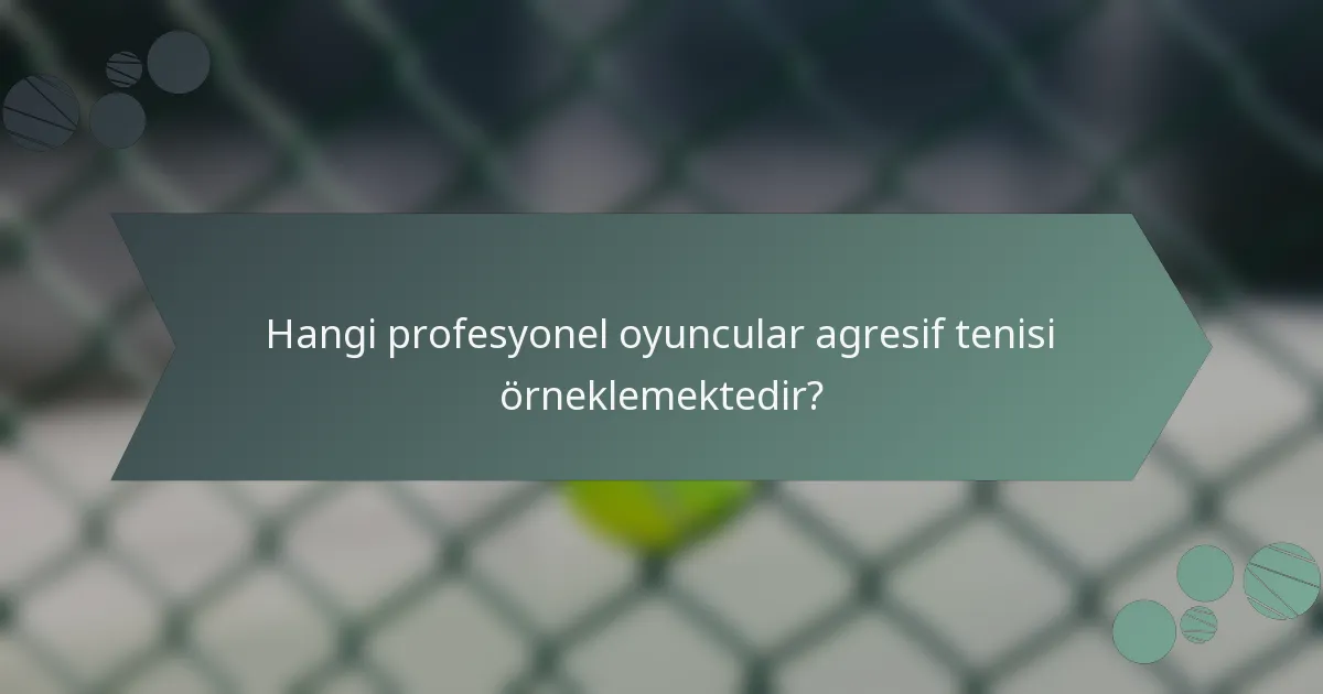 Hangi profesyonel oyuncular agresif tenisi örneklemektedir?